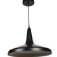 Eliante by Jainsons Lights | Black Iron Hanging Light | NEW-TULIP-HL