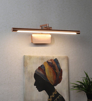 Eliante by Jainsons Lights-Led Picture Lights-PL-911-RG-Inbuilt LED