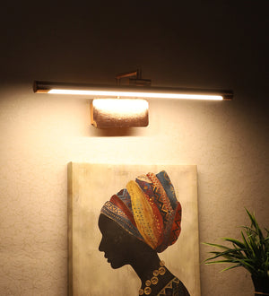 Eliante by Jainsons Lights-Led Picture Lights-PL-911-RG-Inbuilt LED