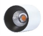 Eliante Thunder Surface COB Downlight