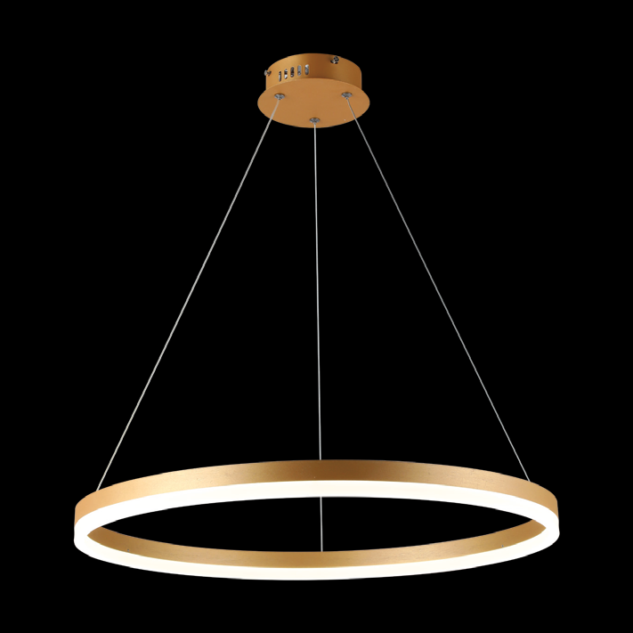 JS-SBL RG-08-012 Gold Led String Lights