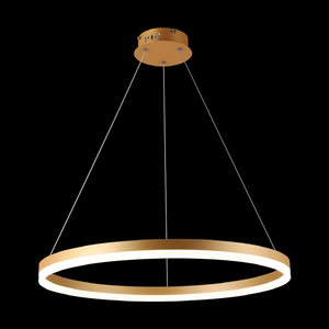JS-SBL RG-08-021 Gold Led String Lights