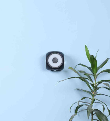 Brightra Black Aluminium Wall Light  | Inbuilt LED | Included Bulb | Eliante by Jainsons Lights