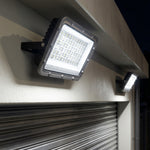 Puma And White Tiger LED Flood Lights