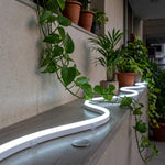 LED Neon Rope And Outdoor String Lights