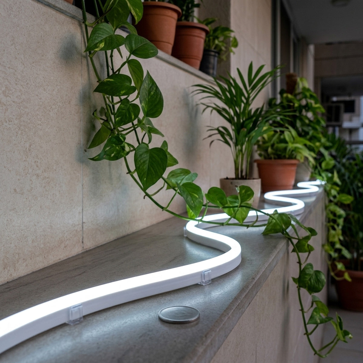 LED Neon Rope And Outdoor String Lights