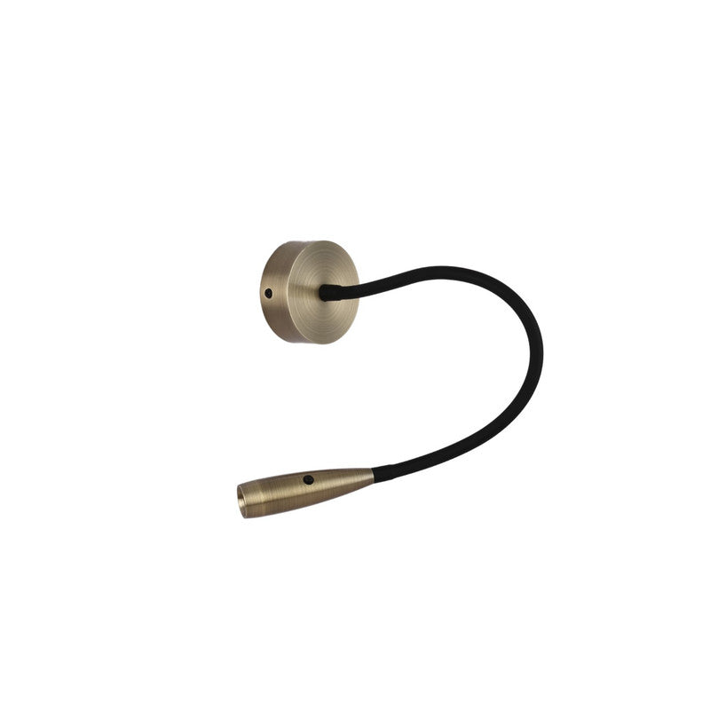 JS-SCH FLORA 3W ANTIQUE BRUSH BRASS Picture/Mirror Light