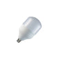 JS-SMS 30W LED BULB B22/E27 led lamps