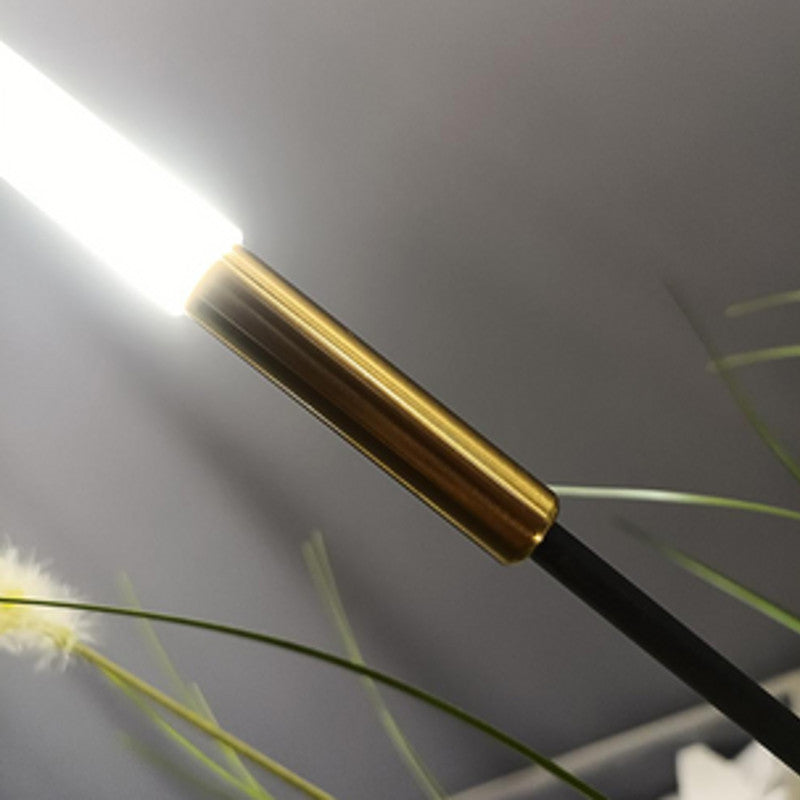 JS-SCH RICE LED 2WX 6 PCS BLACK ROD, BRASS CAP 2W Garden Spike Lights