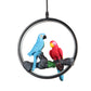 Eliante by Jainsons Lights | Black Iron Hanging Light | TIM-RING-PARRAT