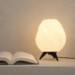 Eliante by Jainsons Lights | Black Acrylic Table Lamp | TL-8009