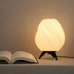 Eliante by Jainsons Lights | Black Acrylic Table Lamp | TL-8009