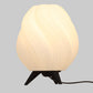 Eliante by Jainsons Lights | Black Acrylic Table Lamp | TL-8009