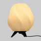 Eliante by Jainsons Lights | Black Acrylic Table Lamp | TL-8009