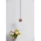 JS-SCH BALL 70MM 6W Black/Gold Led Hanging Lights