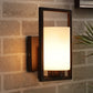 JS-VP S-404-1W Modern Wall Lights 1xE27 Mild Steel & Glass Material Dark Wood & White Finish