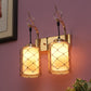 JS-VP S-378-2W Modern Wall Lights 2xE27 Mild Steel & Glass Material Gold & Champaign Finish