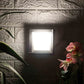 Precioco Grey Aluminium Outdoor Wall Light | 4230-BB-WW- | Included Bulb | Eliante by Jainsons Lights