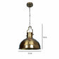 Winfrey Antique Gold Brass Hanging Light | M-20113-1LP | Included Bulb | Eliante by Jainsons Lights