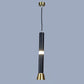 Astris Black and Gold Iron Hanging Light  | Inbuilt LED |  | Eliante by Jainsons Lights