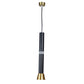 Astris Black and Gold Iron Hanging Light  | Inbuilt LED |  | Eliante by Jainsons Lights