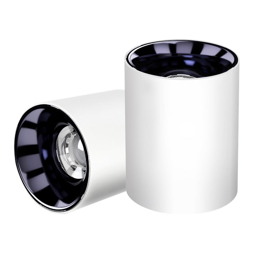 Eliante Glaze Surface COB Downlight – Fixed – product photo
