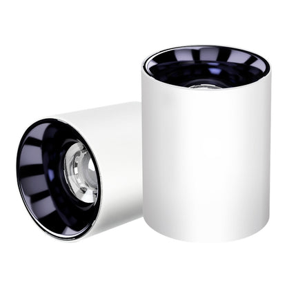 Eliante Glaze Surface COB Downlight – Fixed – product photo