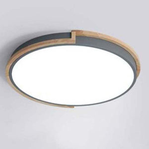 CLGY-300mm Ceiling Light