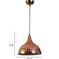 Zevon Copper Iron Hanging Light | hl-031-1lp | Included Bulb | Eliante by Jainsons Lights