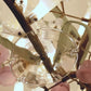 Coral Flame Glass Chandelier – A Statement Piece for Double-Height Interiors