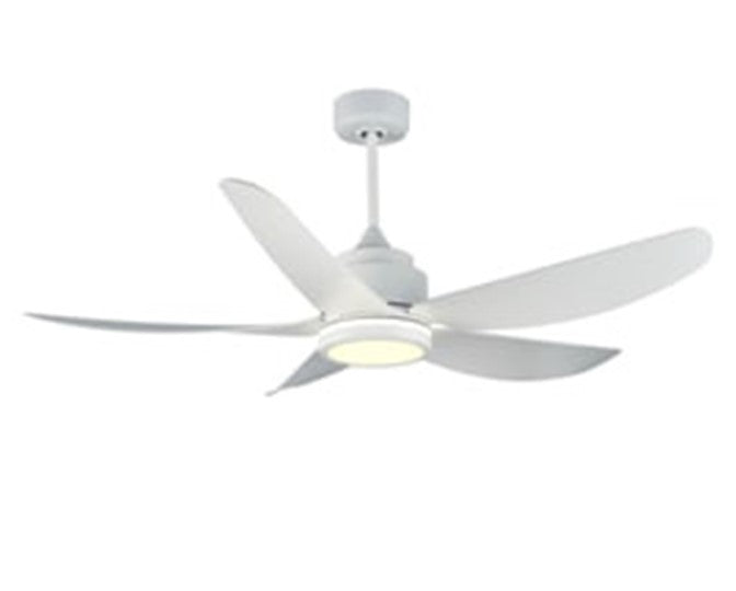 JS-LXR Modern BLDC 52" Ceiling Designer Fans with Light D0010-White Fan & 5 ABS Blades