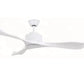 JS-LXR Modern BLDC 52" Ceiling Designer Fans D0027-matt silver