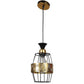 Dino Black Iron Hanging Light | 5012-1LP | Included Bulb | Eliante by Jainsons Lights