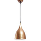 ELIANTE Modern Metal Hanging Light Gold for Living Room, Bedroom, Dining Room, Kitchen | 3 Years Warranty | with LED Lamp(s) Included