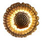 Astros Metal LED Novelty Wall Light (Gold) | 1016 | Included Bulb | Eliante by Jainsons Lights