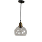 Dorada Gold Metal Hanging Light H-122-1LP-CFL-HALO