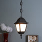 Black Metal Outdoor Hanging Light HGN-95-HL-BK