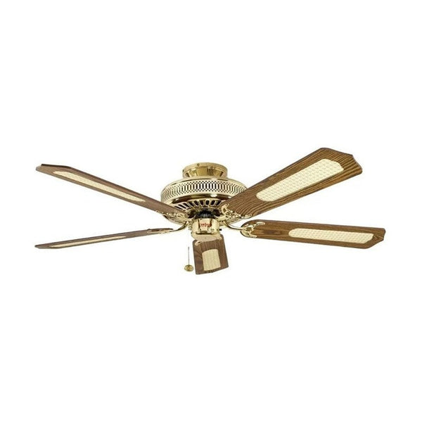 Designer Fans