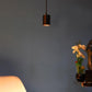 Black Aluminium Hanging Light - Inbuilt LED - JS-1045-1LP