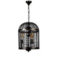 Black Iron Hanging Light - E27 holder - without Bulb - JS-1329-1LP