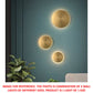 JS-NPT-39109-150mm Luxury Wall lights