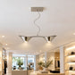 Halogen And CFL Downlight Frames And Fixtures - Eye Line Suspended Doom SS Finish
