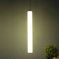 Liora Gold Iron Hanging Light  | Inbuilt LED |  | Eliante by Jainsons Lights