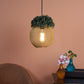 Eliante Papillon Gold Iron Hanging Light - E27 holder - without Bulb - LEAF-1H