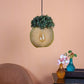 Eliante Papillon Gold Iron Hanging Light - E27 holder - without Bulb - LEAF-1H