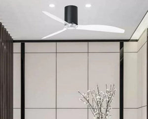 JS-LXR Modern BLDC 50″ Ceiling Designer Fans 5106-Matt Black & Clear Transparent Blades