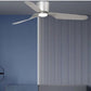 JS-LXR Modern BLDC 52” Ceiling Designer Fans 5160-& LED