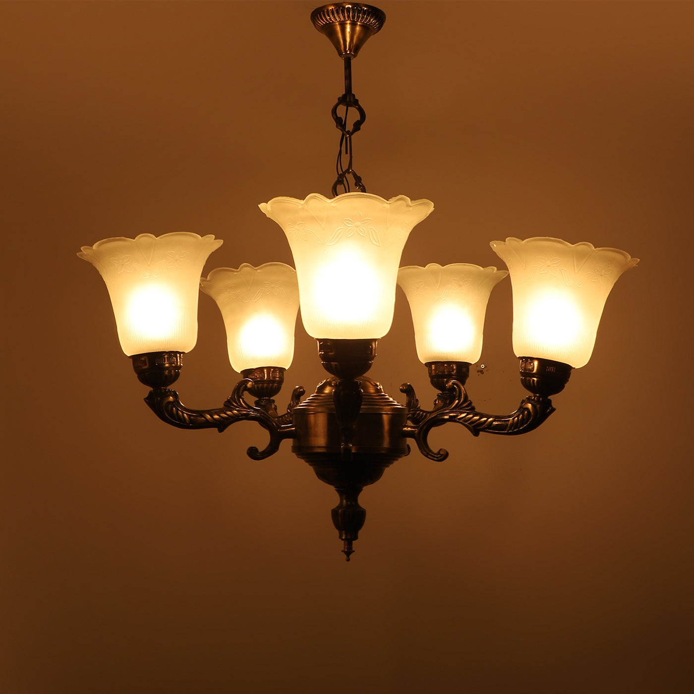 Antique Brass Metal Glass Chandelier NO-2-5LP-IND