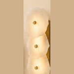 FIGO product photo