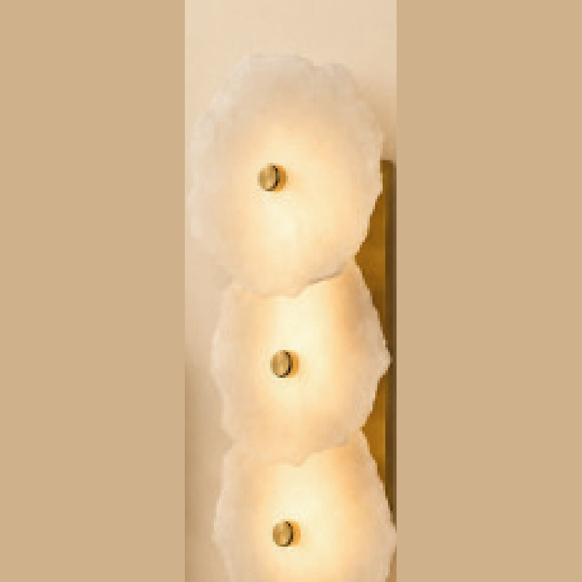 FIGO product photo